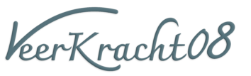 Veerkracht logo