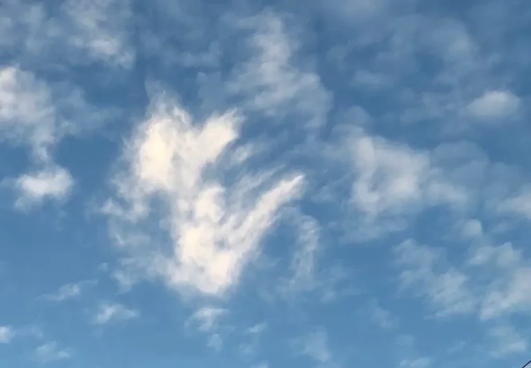Adem, het element lucht